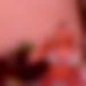 Foto von Lara