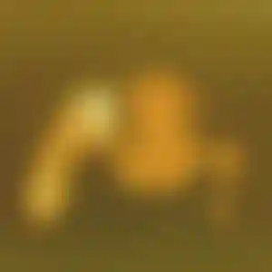 Foto von Heike