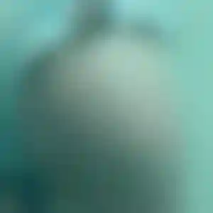 Foto von Marion