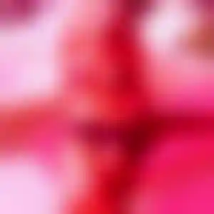 Foto von Anna