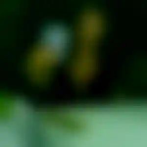 Foto von Stefanie