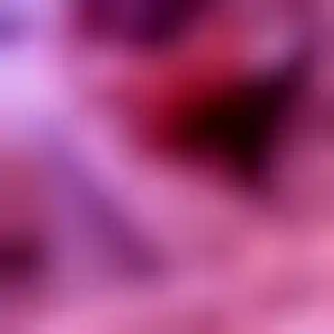 Foto von Katharina