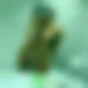 Foto von Dagmar