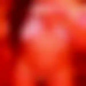 Foto von Nicole