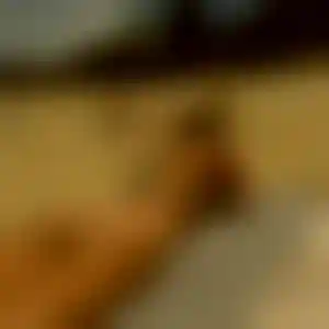Foto von Ines