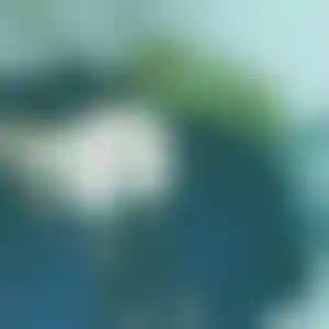 Foto von Elke