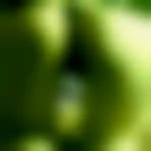 Foto von Beate