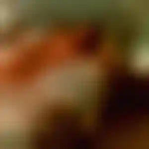 Foto von Elisabeth