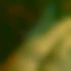 Foto von Beate