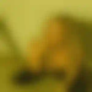 Foto von Carolin