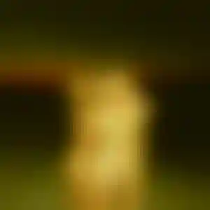 Foto von Charlotte