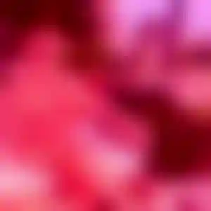 Foto von Regine