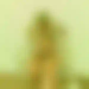 Foto von Chiara