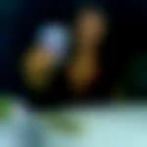 Foto von Josefine