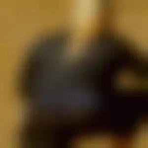 Foto von Sandra