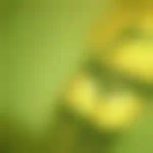 Foto von Nora