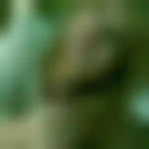 Foto von Annalena