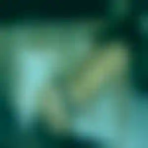 Foto von Astrid