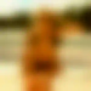 Foto von Viktoria
