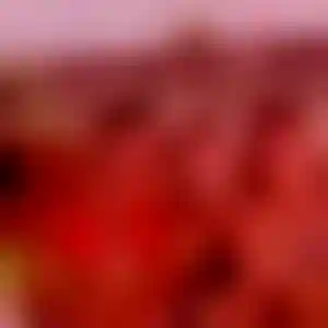 Foto von Carolin