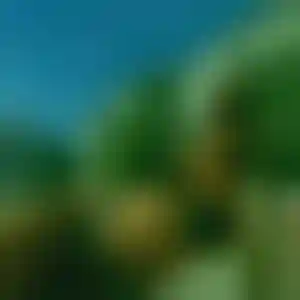 Foto von Heike
