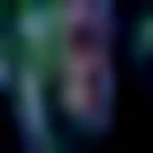 Foto von Katrin