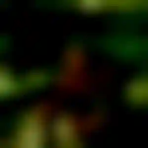 Foto von Marion