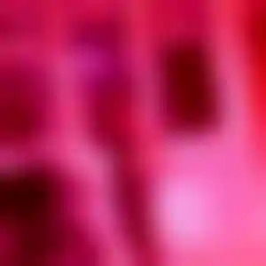 Foto von Beate