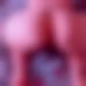 Foto von Heike