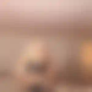 Foto von Leonie
