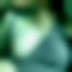 Foto von Heike