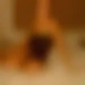 Foto von Pia