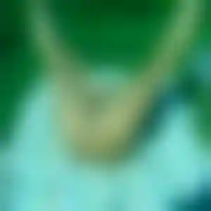 Foto von Paula