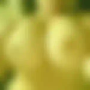 Foto von Elke