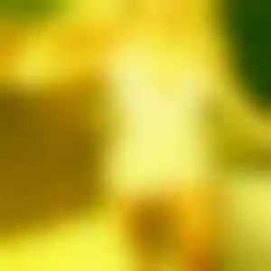 Foto von Ursula