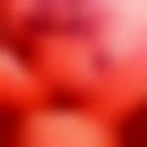 Foto von Sabine