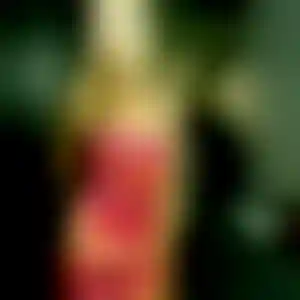 Foto von Clara