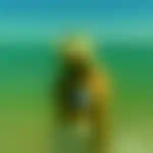 Foto von Chiara
