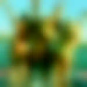 Foto von Ursula