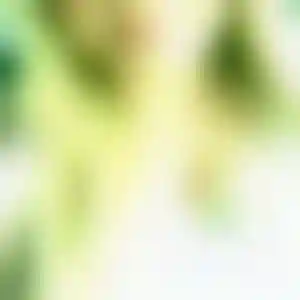 Foto von Heike