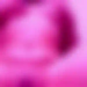 Foto von Monika