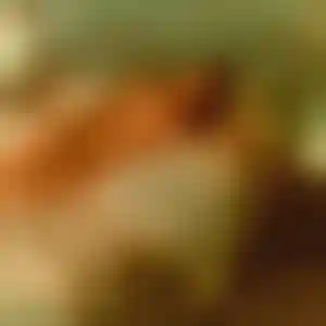 Foto von Josefine