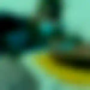 Foto von Stella