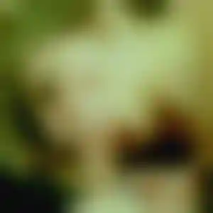 Foto von Jana