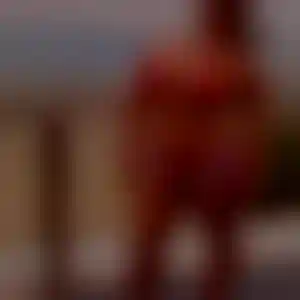 Foto von Sophie