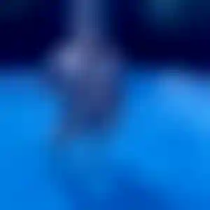 Foto von Karin