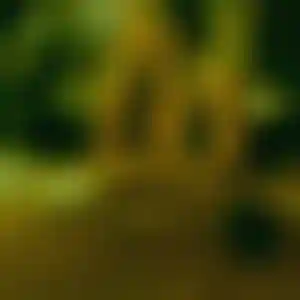 Foto von Doris