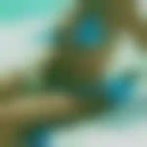 Foto von Manuela