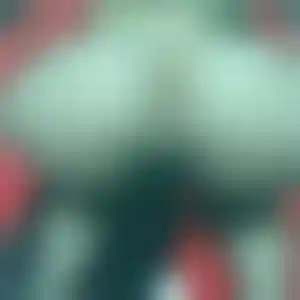 Foto von Elke