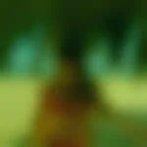 Foto von Grit